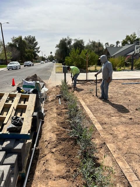 Residential Plant Installation Project